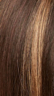 Color Java Frost =Dark Brown base with Gold Blonde and Light Auburn 50/50 blend highlights