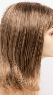 FROSTED | Light Brown with Wheat Blonde blended highlights