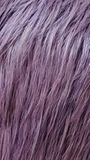 LILAC | Lilac Purple