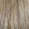 M24BT18 | Dark Natural Ash Blonde & Light Golden Blonde Blend w/Light Golden Blonde Tips
