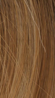 T71/6 NUTMEG FROSTED | Copper Highlight with Dark Brown Root