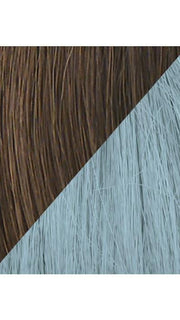Color R10-BLUE = Chestnut tipped with Blue