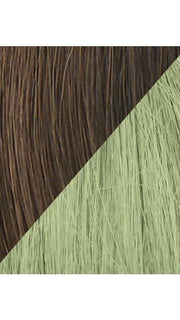 Color R10-GREEN = Chestnut tipped with Green
