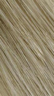R10/24BT Pale Golden Blonde Blended & Tipped with Light Brown