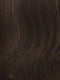 R10 CHESTNUT | Rich Dark Brown with Coffee Brown highlights all over