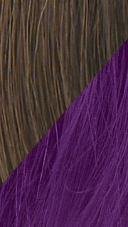 R10 CHESTNUT - DARK-PURPLE