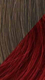 R10 CHESTNUT - RED-WINE