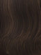R10 CHESTNUT | Rich Medium Brown with subtle Golden Brown Highlights Throughout