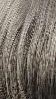 R119G SILVER & SMOKE | Light Brown with 80% Gray in Front Gradually Blending into 50% Gray Towards the Nape