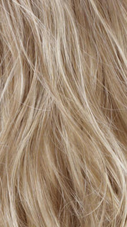 R12/26CH | Light Brown w/Chunky Golden Blonde Highlights