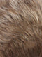 R12/26CH | Light Brown w/Chunky Golden Blonde Highlights