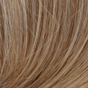 R12/26H | Light Brown with Golden Blonde Highlights