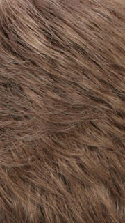 R12/26H HONEY PECAN | Light Brown with Cool Subtle Medium Blonde highlights