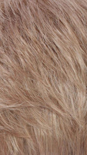 R14/24 | Dark Blonde/Pale Golden Blonde Blend