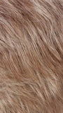 R14/26H | Dark Blonde w/Golden Blonde Highlights