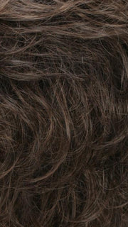 R14/8H | Golden Brown w/Dark Blonde Highlights on Top