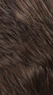 R14/8H | Golden Brown w/Dark Blonde Highlights on Top