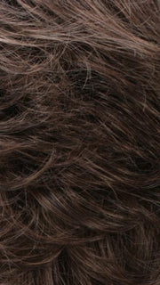 R14/8H | Golden Brown w/Dark Blonde Highlights on Top
