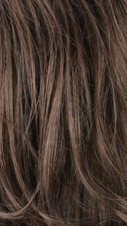R14/8H | Golden Brown w/Dark Blonde Highlights on Top
