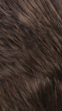 R14/8H | Golden Brown w/Dark Blonde Highlights on Top