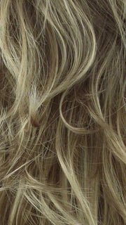 R14/26H | Dark Blonde w/Golden Blonde Highlights