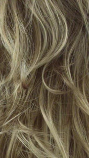 R14/26H | Dark Blonde w/Golden Blonde Highlights