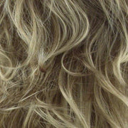 R14/26H | Dark Blonde w/Golden Blonde Highlights