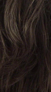 R14/8H | Golden Brown w/Dark Blonde Highlights on Top