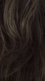R14/8H | Golden Brown w/Dark Blonde Highlights on Top