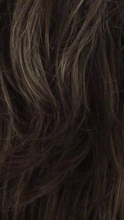 R14/8H | Golden Brown w/Dark Blonde Highlights on Top