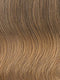 R1416T BUTTERED TOAST | Dark Ash Blonde with Golden Blonde Tips
