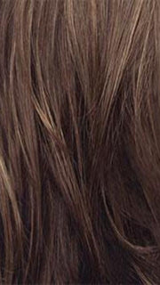 R14/8H Golden Brown w/Dark Blonde Highlights on Top