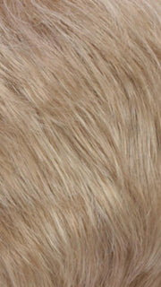 R16/22 | Honey Blonde and Light Ash Blonde blend