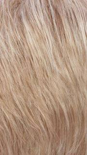 R16/88H | Honey Blonde, Light Ash Blonde Blend
