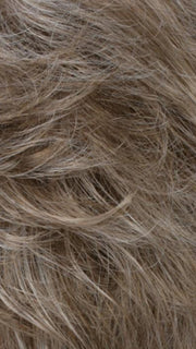 R17/101 | Ash Brown/Platinum Blonde Blend