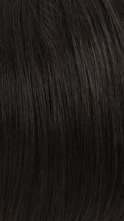 R2/4 | Darkest Brown Blended With Dark Brown