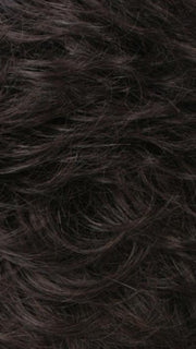 R2/4 | Darkest Brown Blended With Dark Brown