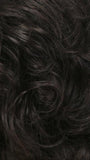 R2/4 | Darkest Brown Blended With Dark Brown