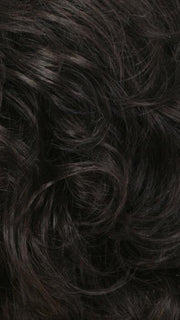 R2/4 | Darkest Brown Blended With Dark Brown