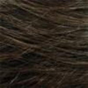 R2/4 | Darkest Brown Blended With Dark Brown