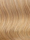 R25 = GINGER BLONDE: Golden Blonde with subtle highlights