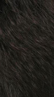 R2/4 | Darkest Brown Blended With Dark Brown