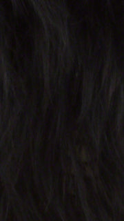 Color R2 = Ebony: Off black or Black/Brown