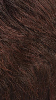 R32F | Dark Brown/Dark Auburn Frost