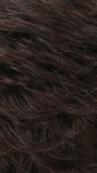 R4/6 | Dark Brown Blended With Chestnut Brown
