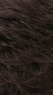 R4/6 | Dark Brown Blended With Chestnut Brown