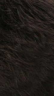 R4/6 | Dark Brown Blended With Chestnut Brown