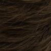 R4/6 | Dark Brown Blended With Chestnut Brown