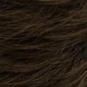 R4/6 | Dark Brown blended with Chestnut Brown