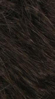R4/6 | Dark Brown Blended With Chestnut Brown